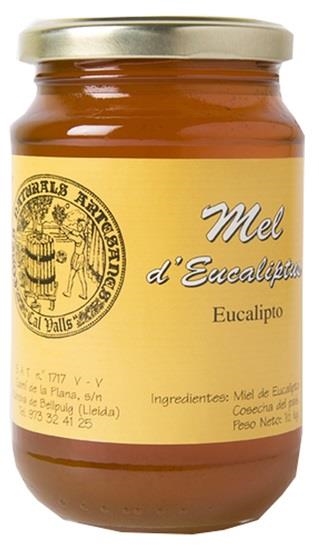 MEL d'EUCALIPTO ECO 500GR | 671 | ORIGEN: LLEIDA | Venda de verdures i fruites 100% ecològiques