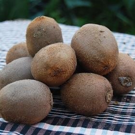 KIWI 500GR | 148 | ORIGEN: PAÍS BASC  | Venda de verdures i fruites 100% ecològiques