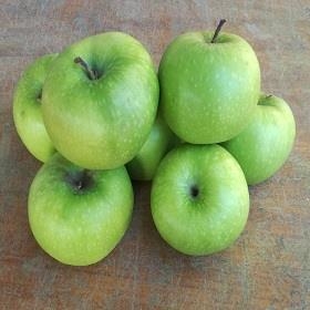 POMA GRANNY SMITH 500GR | 273 | Venda de verdures i fruites 100% ecològiques